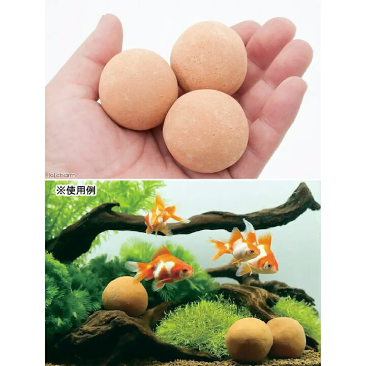 楽天市場 水をキレイにする ゼオライトの玉 金魚用 関東当日便 Charm 楽天市場店