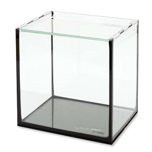 �R�g�u�L�H�|�@�K���X�����@���O���X�t���b�g�@F�|20S�^B�@�u���b�N�V���R���@20cm�����i�P�́j�@���^�����@����l�l5�_����@�֓�������