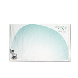 OPPO　ToiletScreen　ブルーグリーン　トイレットスクリーン　猫　トイレ　関東当日便