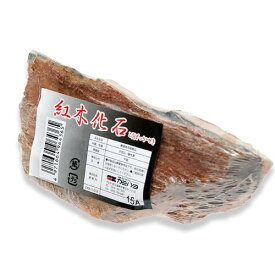 カミハタ　アクアリウムロック　紅木化石　形状お任せ　関東当日便