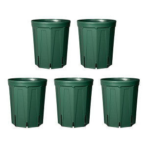 Xbg@O^Cv@CSM|240L@XO[@5Zbg@ll2_@K[fjO@@֓