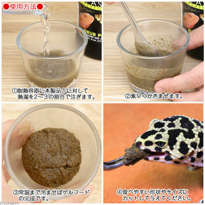 楽天市場 レパシー スーパーフード grub pie グラブパイ 6oz 170g ヒョウモントカゲモドキ レオパ エサ フード 関東当日便 Charm 楽天市場店 楽天市場 レパシー スーパーフード grub pie グラブパイ 6oz 170g ヒョウモントカゲモドキ レオパ エサ フード 関東当日便 Charm 楽天市場店