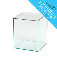 【5／15限定】当選確率2分の1！1等最大100％　ガラス水槽　アクロ30Mハイ　30×30×36cm　約30L　熱帯魚…