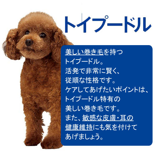 【楽天市場】ドッグフード プロマネージ 成犬用 トイプードル専用