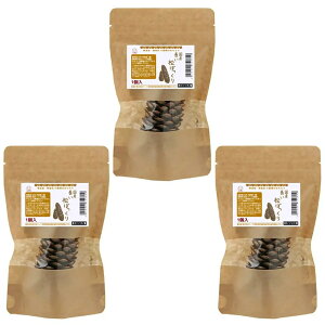 Y@ڂ@1×3܁@̂@pCR[@Y@Y@F@֓