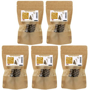 Y@ڂ@1×5܁@̂@pCR[@Y@Y@F@֓