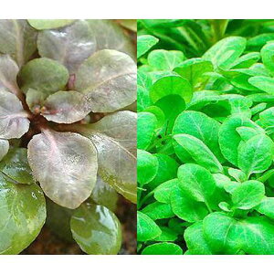 ijxAJ[fBiXitji_ji12{j