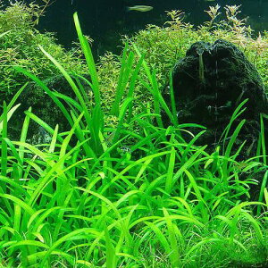 ijsO~[`F[TW^Aitji_ji10j