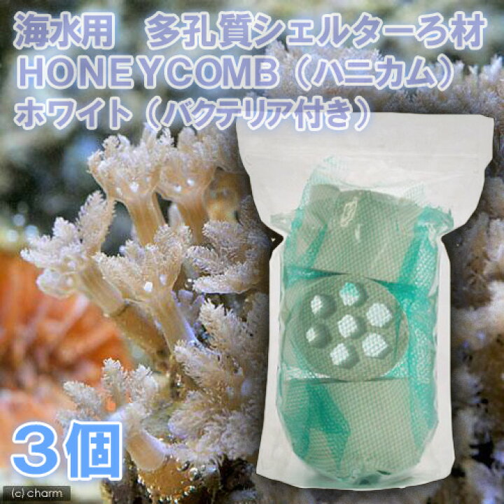 楽天市場 海水魚 ろ材 海水用 多孔質シェルターろ材 ｈｏｎｅｙｃｏｍｂ ハニカム ホワイト バクテリア付き ３個 Charm 楽天市場店