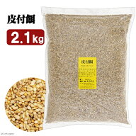 キクスイ　皮付餌　L　2．1kg　関東当日便