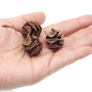 ^ZRC̎@3@NX}X@؂̎@֓