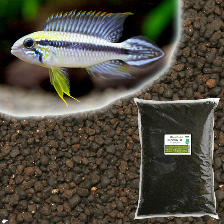 楽天市場 お一人様２点限り 魚が簡単に飼える リーフプロソイル ｐｈダウン ８ｌ アマゾン川源流の白砂 ３ｋｇ 関東当日便 Charm 楽天市場店