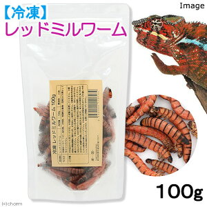 冷凍★冷凍レッドミルワーム 100g 爬虫類 大型魚 色揚げ 無添加 無着色 別途クール手数料 常温商品同梱不可