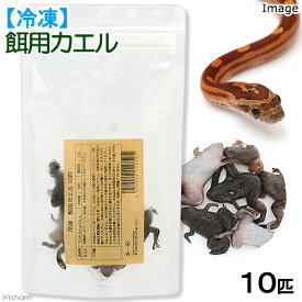 楽天市場 カエル 餌の通販