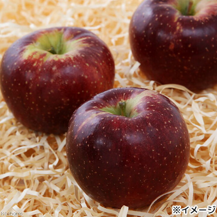 288円 驚きの値段で 国産 割れりんご 150g 大容量 ドライフルーツ 小動物用 288円 驚きの値段で 国産 割れりんご 150g 大容量 ドライフルーツ 小動物用