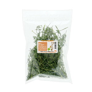 Y@ɂ񂶂̗t@20g@t[h܂t@ll1_@֓