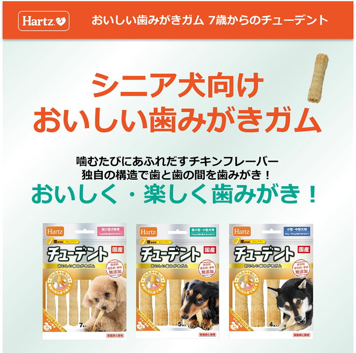 楽天市場】アウトレット品 ハーツ 7歳からのチューデント 超小型犬 