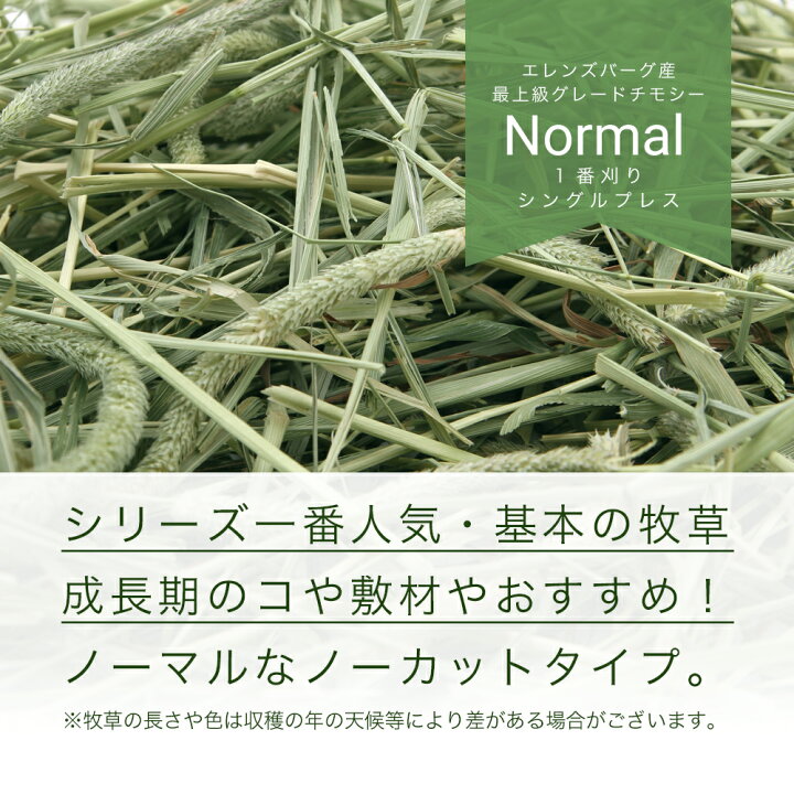 市場 小動物の牧草 ショートタイプ 健康チモシー 市場 小動物の牧草 ショートタイプ 健康チモシー