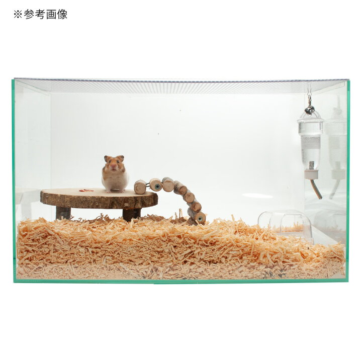 楽天市場】ハムスターゲージ ハムスター飼育水槽 ぴったりふたセット 