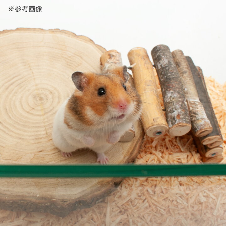 楽天市場】ハムスターゲージ ハムスター飼育水槽 ぴったりふたセット 