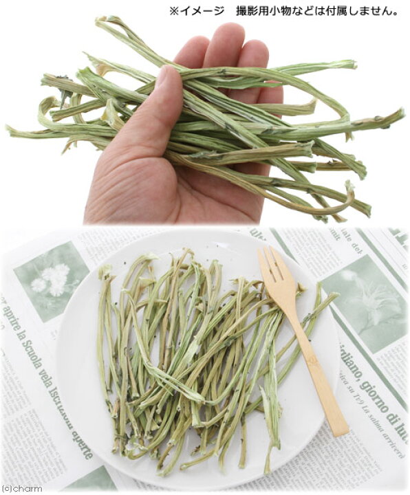 国産 ブロッコリーの茎 30g 小動物のおやつ 無添加 無着色 新商品 国産 ブロッコリーの茎 30g 小動物のおやつ 無添加 無着色 新商品