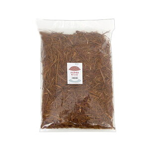 VR|{y@NvgX@LTCY@8L@mE}`Op@֓