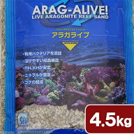 カミハタ　カリブシー　アラガライブ　フロリダクラッシュコーラル　4．5kg