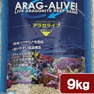 カミハタ　カリブシー　アラガライブ　フロリダクラッシュコーラル　9．0kg　関東当日便