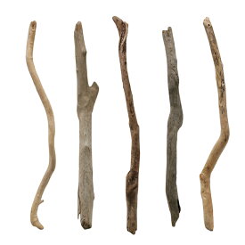 形状お任せ　棒状流木　ロング（長さ100cm以上）　5本セット　DIY素材　関東当日便