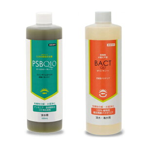 Wp@PSBQ10@500mL{΂Q10@500mL@Zbg@oNeA@֓