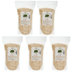 Y@nlY~̍@1L×5@[ICgTh@֓