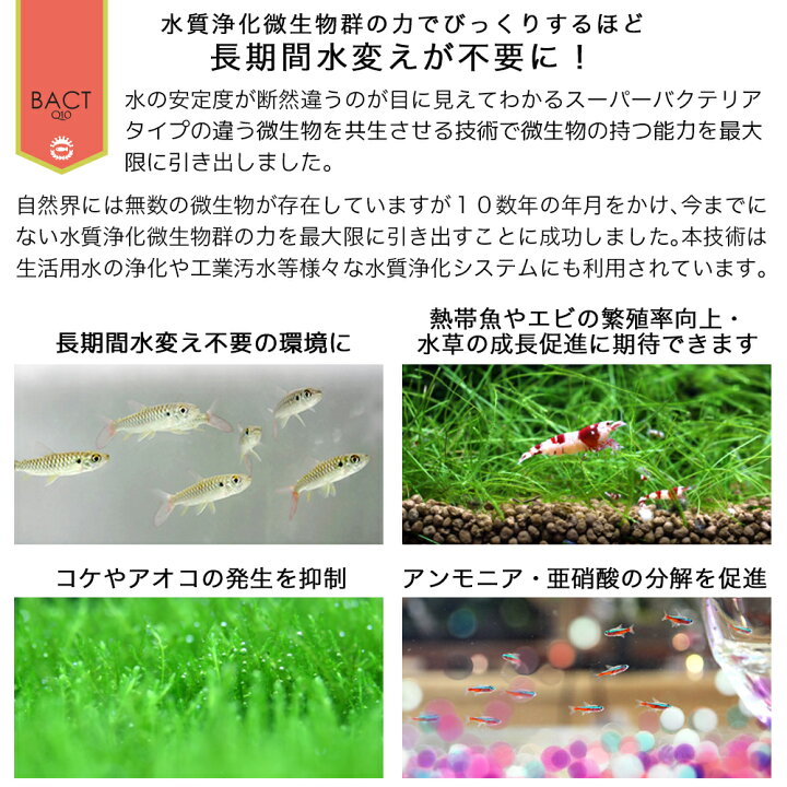 楽天市場 ３本セット 定着型バクテリア ばくとｑ１０ 淡水 海水用 ５００ｍｌ ３本 バクテリア 熱帯魚 海水魚 関東当日便 Charm 楽天市場店