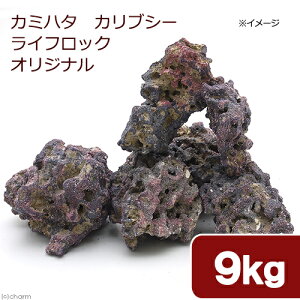 レイアウト用品 ライブロック 水槽の人気商品 通販 価格比較 価格 Com
