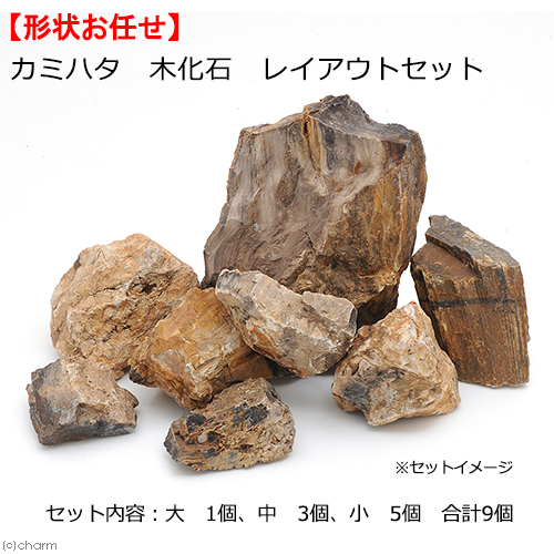 カミハタ 魅力の 木化石 レイアウトセット ４５～７５ｃｍ水槽向け 52%OFF 関東当日便 形状おまかせ