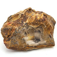 カミハタ　アクアリウムロック　木化石　特大　関東当日便