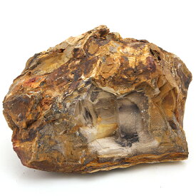 カミハタ　アクアリウムロック　木化石　特大　関東当日便