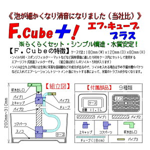 楽天市場 チョイス ｆ ｃｕｂｅ エフ キューブ プラス エアリフト式 底面フィルター 関東当日便 Charm 楽天市場店