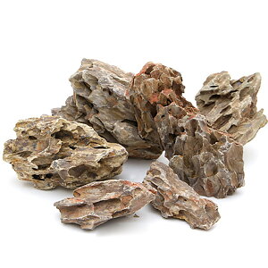 `󂨔C@zΐ΁@TCY~bNX@5kg@45cm@ANAE@CAEgfށ@֓