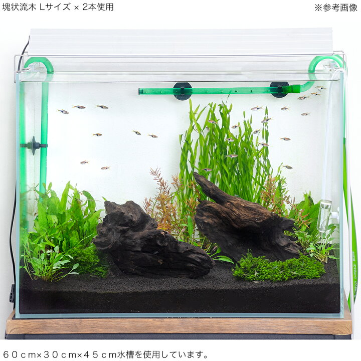 楽天市場】形状お任せ 煮込み済み 塊状流木 Lサイズ（約25  