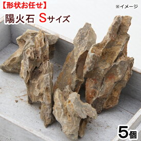 形状お任せ　陽火石　Sサイズ（約4〜10cm）　5個　アクアリウム　レイアウト素材　関東当日便