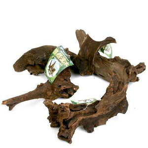 y11^5zIm21I1ő100@`󂨔C@R؁@i20cm`j@3{Zbg