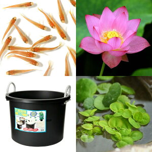 irIg[vji߂j͂߂ẴnX͔|Zbg@@{\e45L{q_J{@@t@{Bl