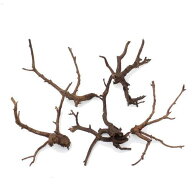 形状お任せ　煮込み済み　極上流木　Sサイズ（約10〜20cm）5本　アクアリウム　レイアウト素材　流木　関…