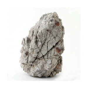 `󂨔C@΁@XLTCYi25cm`j@1@ANAE@CAEgfށ@֓