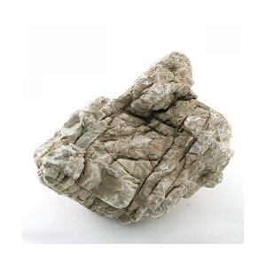 `󂨔C@΁@LTCYi20`25cmj@1@ANAE@CAEgfށ@֓