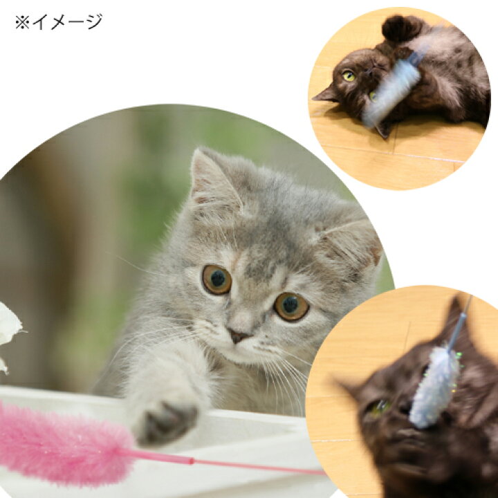 楽天市場】猫じゃらし キャティーマン じゃれ猫 猫のお遊びカラ振る草 3本セット 関東当日便 : charm 楽天市場店 楽天市場】猫じゃらし キャティーマン じゃれ猫 猫のお遊びカラ振る草 3本セット 関東当日便 : charm 楽天市場店
