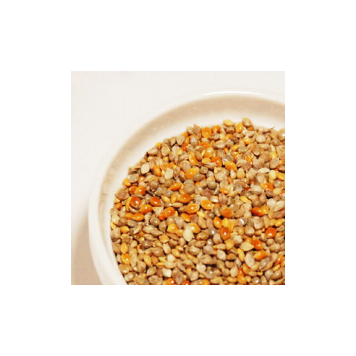 キクスイ 赤皮付餌 ダイエット L 2.1kg 関東当日便 charm キクスイ 赤皮付餌 L 2.1kg