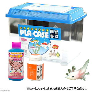 爬虫類 両生類用飼育アクセサリー ウーパールーパー 爬虫類 両生類用飼育アクセサリーの人気商品 通販 価格比較 価格 Com