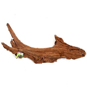 @J~n^@؁@@`󂨔C@ANAE@@ll1_@180TCY@֓