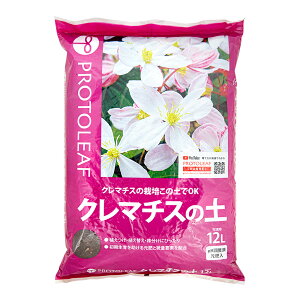 |{y@vg[t@N}`X̓y@12L@ll4_@֓